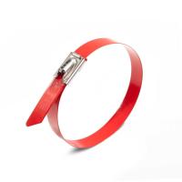https://techelectro.ru/images/main/fasteners/ties/sks-p/sks-p-316(red)_base.jpg