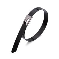 https://techelectro.ru/images/main/fasteners/ties/sks-p/sks-p.jpg
